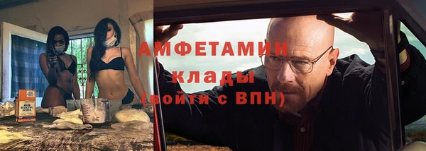 дмт Богданович