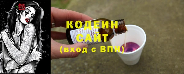 дмт Богданович