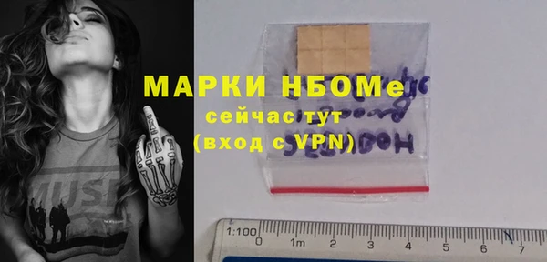 хмурый Богородицк