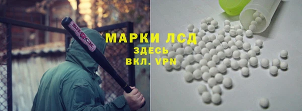 дмт Богданович