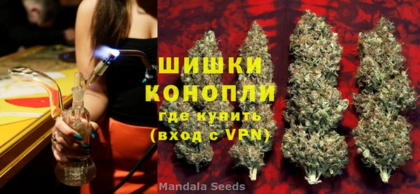 дмт Богданович