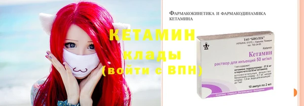 дмт Богданович