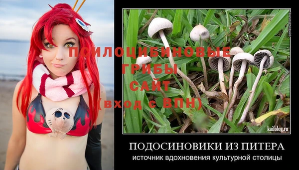 хмурый Богородицк