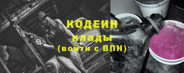 дмт Богданович